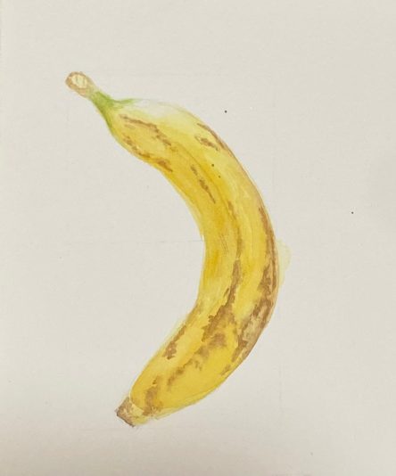 PLÁTANO2