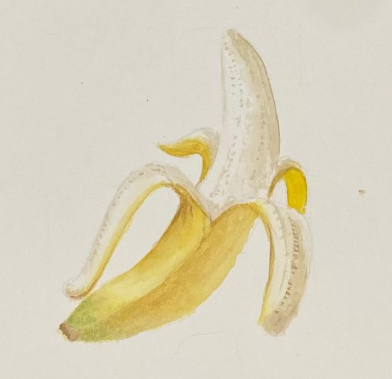 PLÁTANO1