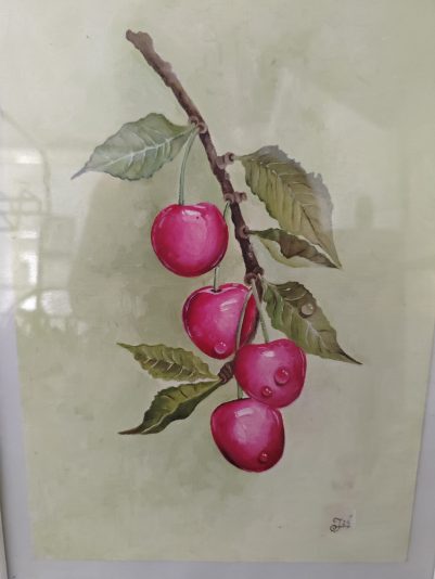 Cerezas en rama