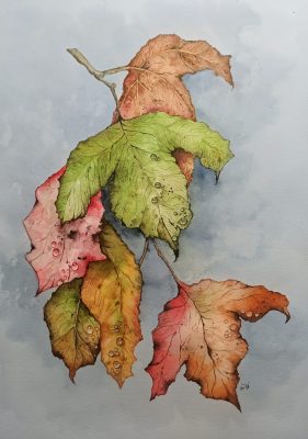 Composición otoñal
