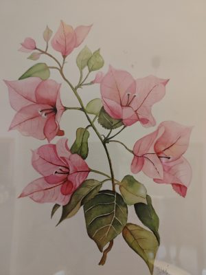 41901